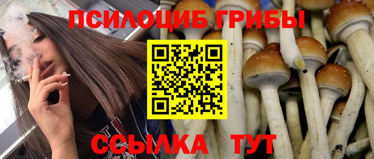 Галлюциногенные грибы GOLDEN TEACHER Кизилюрт